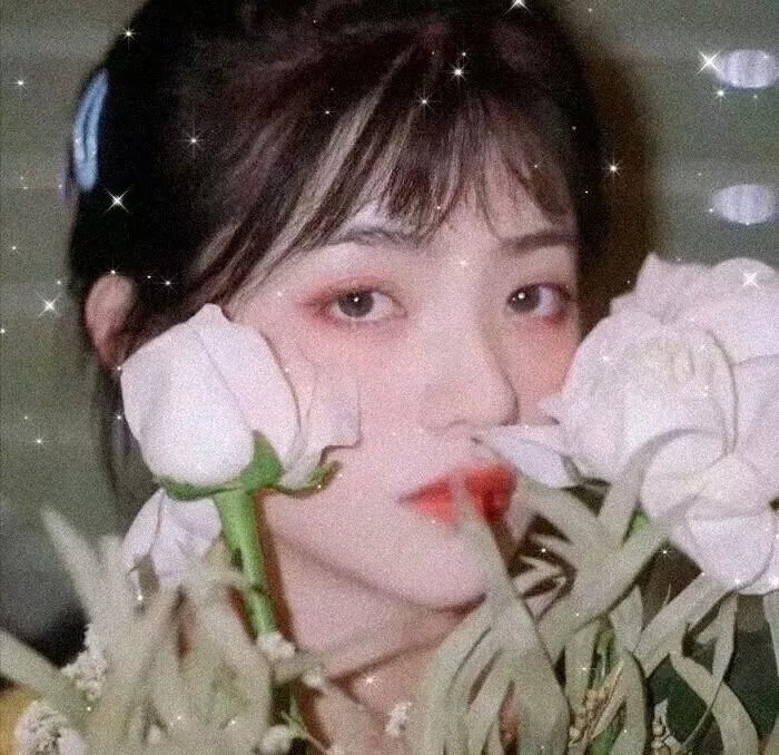 豪侠艳姬
