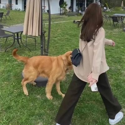 涅槃咒