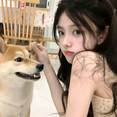 玉屏风